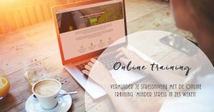 Online training minder stress in zes weken