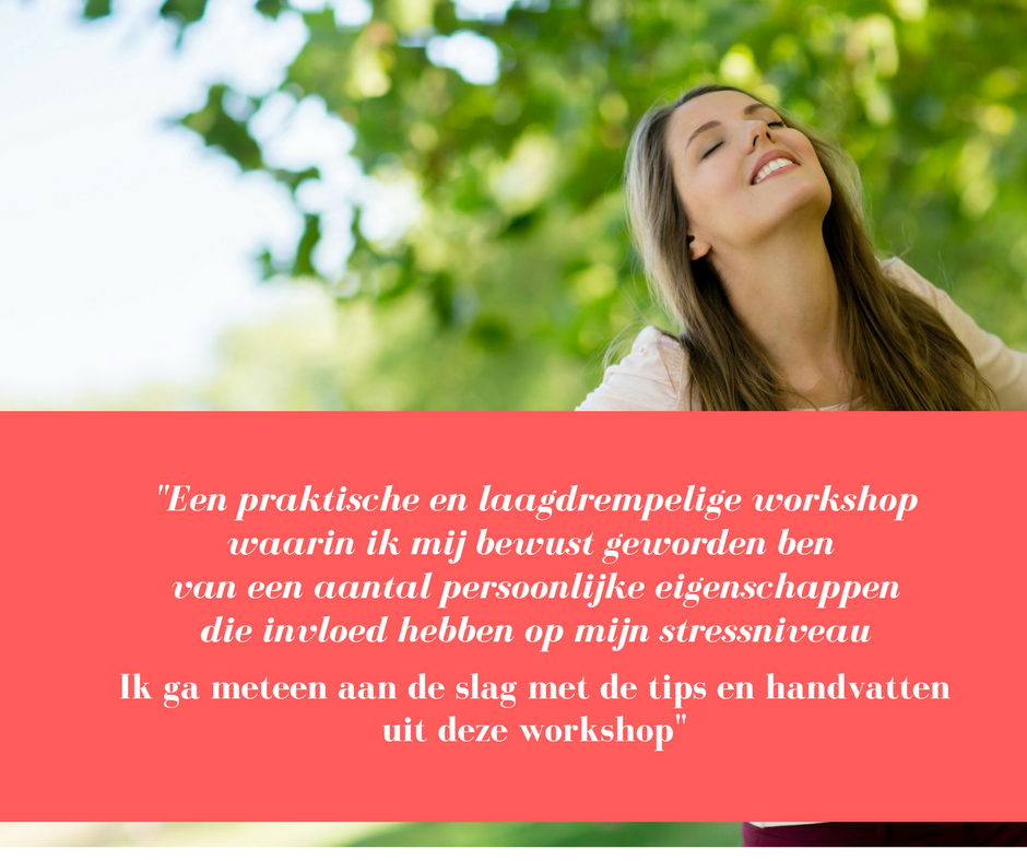 recensie workshop van werkdruk naar werkplezier