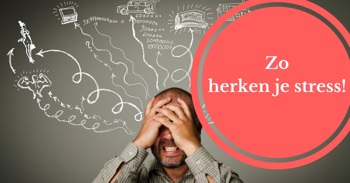 Stress? Zo herken je of jij stress ervaart VIVAS Coaching